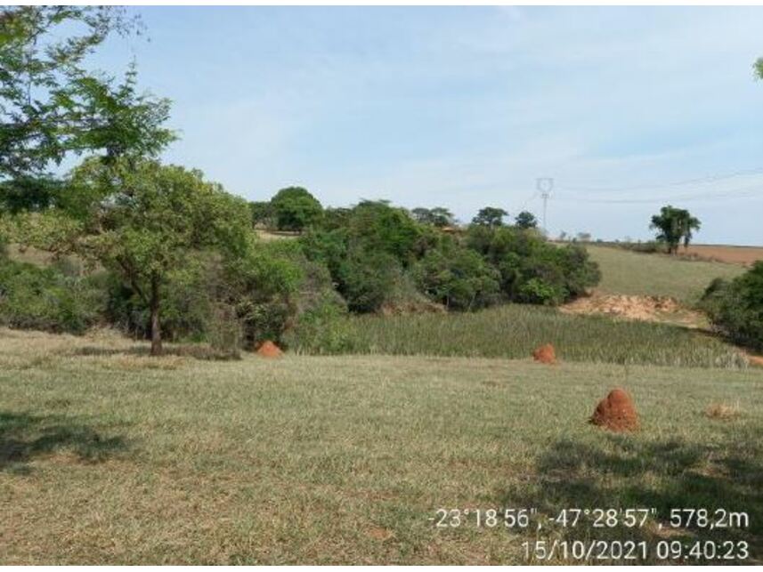 Imagem 22 do Leilão de Área Rural - Zona Rural - Porto Feliz/SP