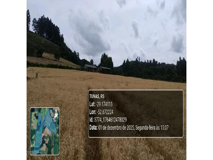 Imagem 18 do Leilão de Área Rural - Zona Rural - Tunas/RS