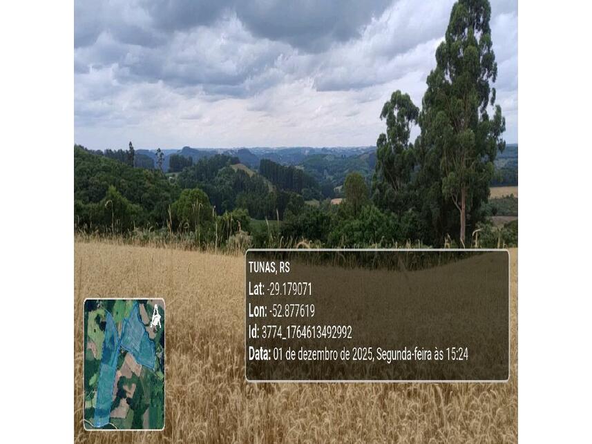 Imagem 21 do Leilão de Área Rural - Zona Rural - Tunas/RS