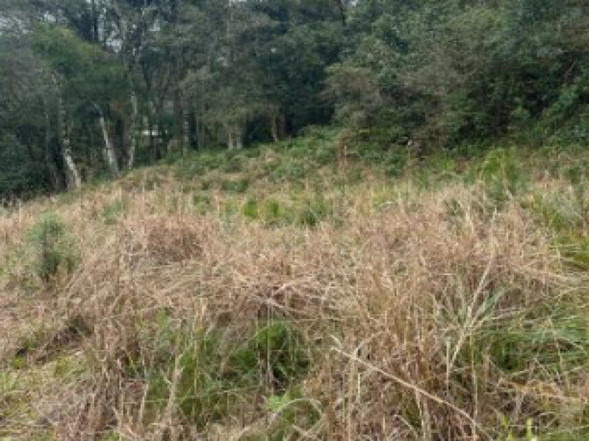 Imagem 5 do Leilão de Terreno - Várzea Grande - Gramado/RS