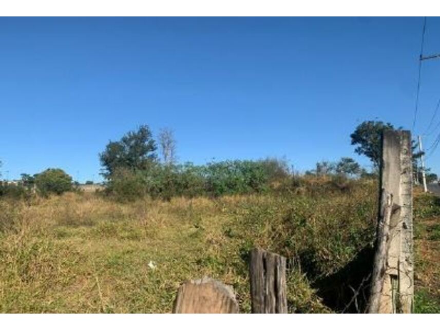 Imagem 16 do Leilão de Terreno - Jardim Novo Mundo - Goiânia/GO