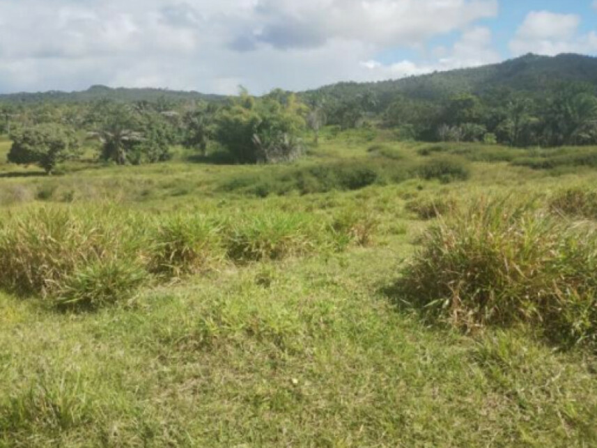 Imagem 3 do Leilão de Terreno - Parque das Margaridas - Salinas da Margarida/BA