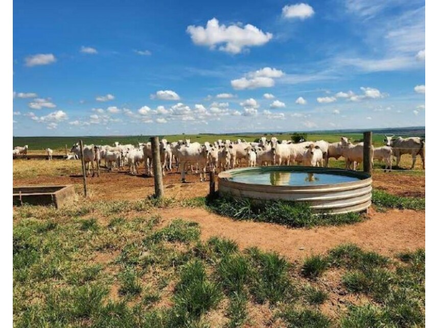 Imagem 5 do Leilão de Fazenda - Área Rural de Getulina - Getulina/SP