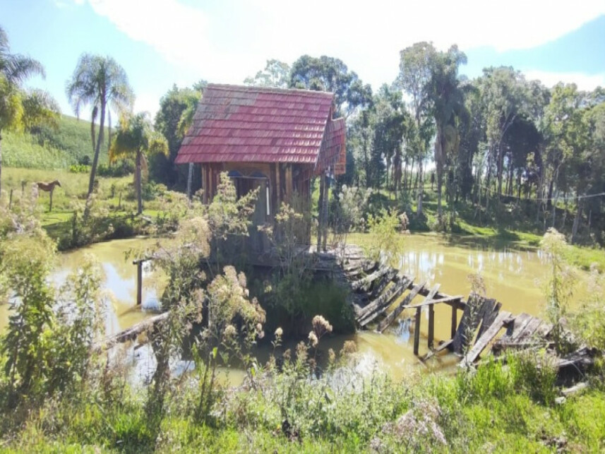 Imagem 8 do Leilão de Fazenda - Costão do Frade - Bom Retiro/SC