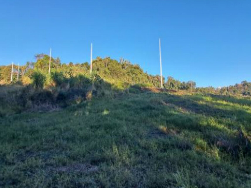 Imagem 6 do Leilão de Terreno - Interior - Cordilheira Alta/SC