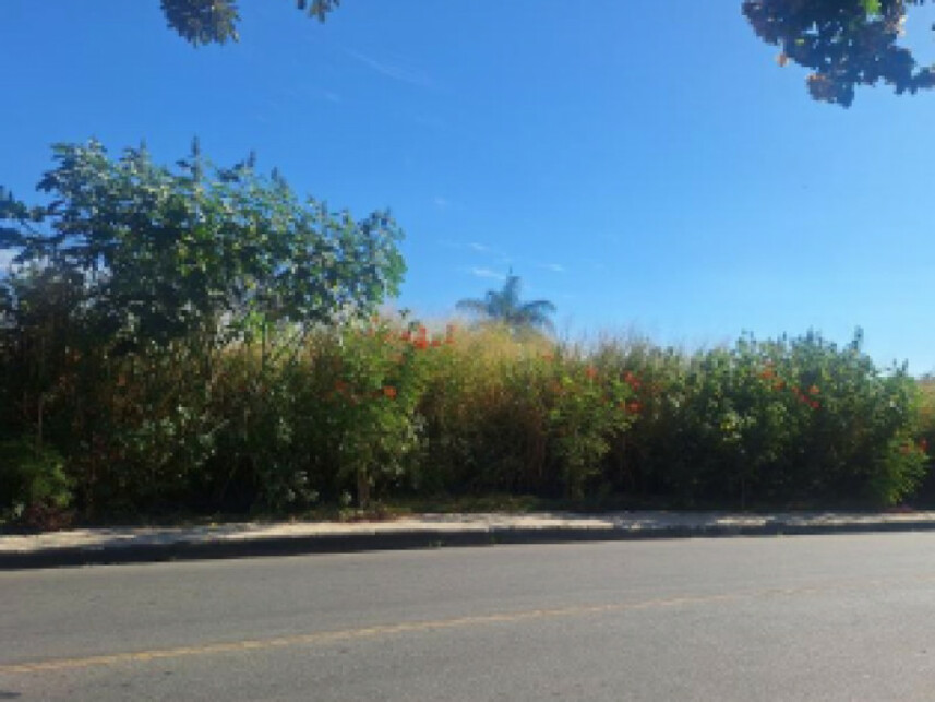 Imagem 1 do Leilão de Terreno - Braúnas - Juiz de Fora/MG