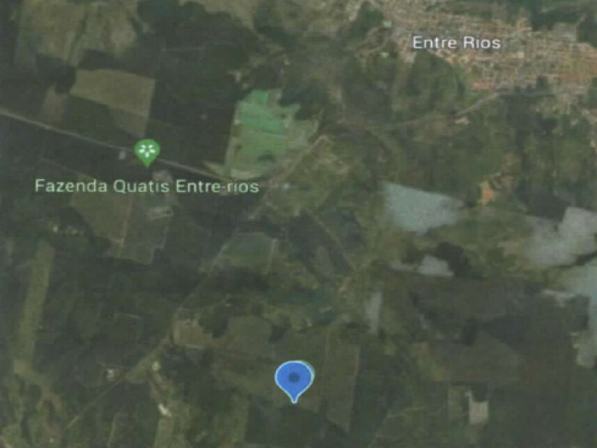 Imagem 11 do Leilão de Chácara - Zona Rura - Entre Rios/BA