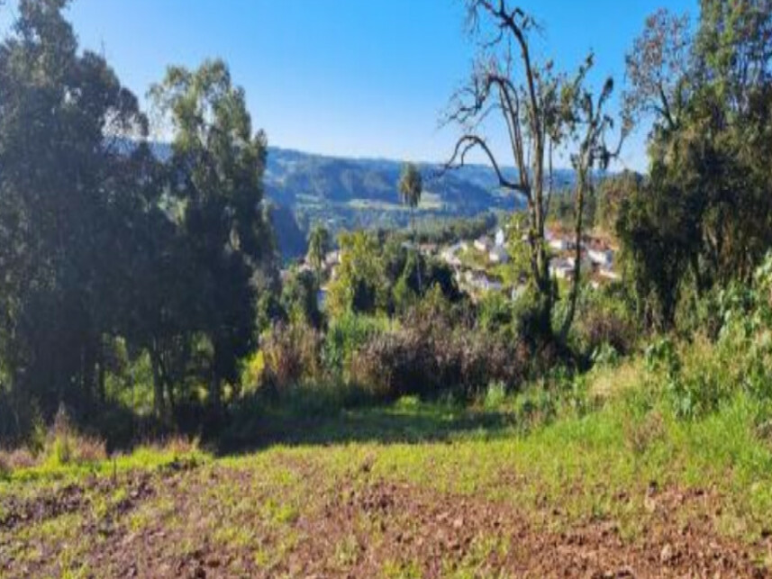 Imagem 3 do Leilão de Terreno - Interior - Cordilheira Alta/SC