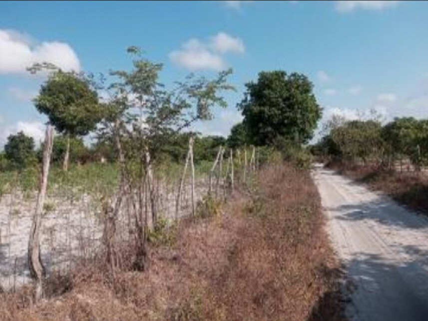 Imagem 1 do Leilão de Terreno - Curimatã - Pacajus/CE