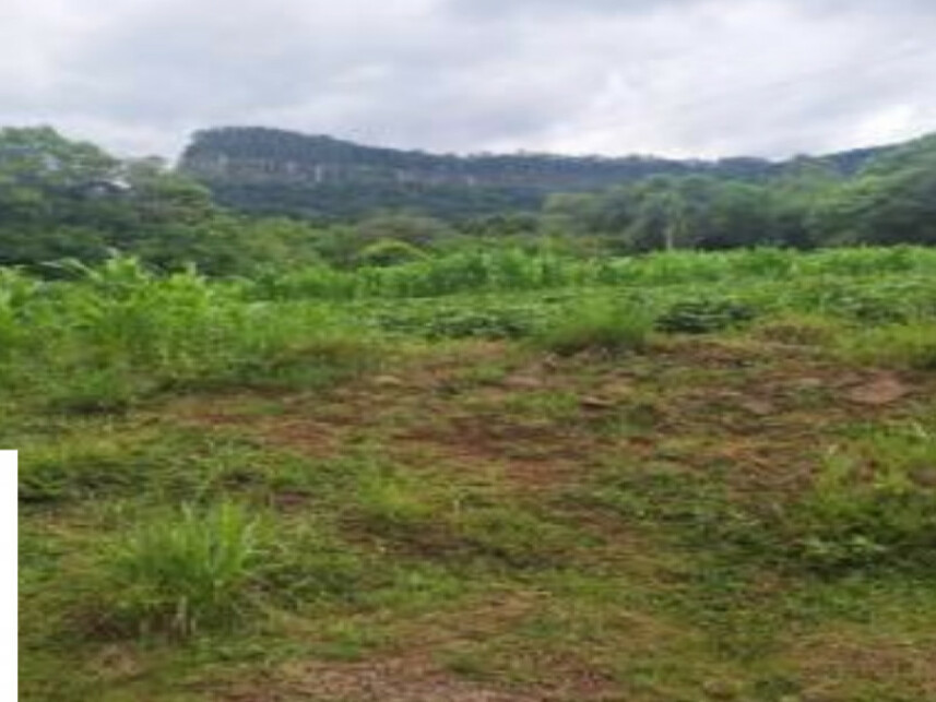 Imagem 6 do Leilão de Área Rural - Centro - Canela/RS