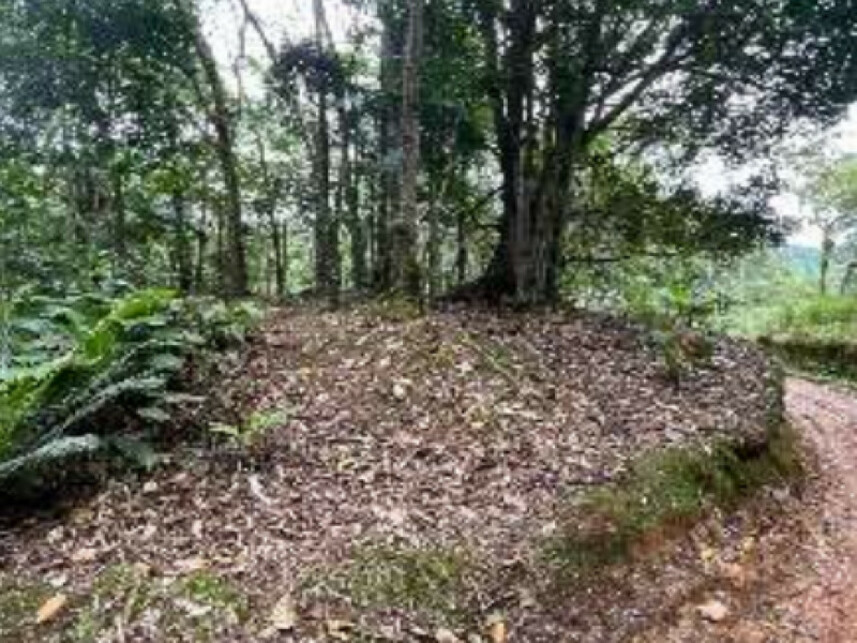 Imagem 4 do Leilão de Área Rural - Progresso - Blumenau/SC