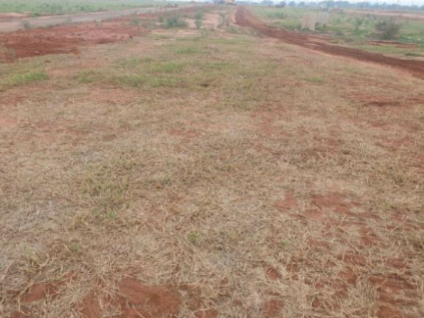 Imagem 3 do Leilão de Terreno - Jardim Botânico I - Marília/SP