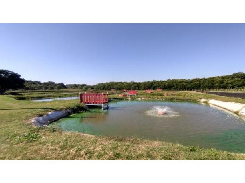 Imagem 14 do Leilão de Áreas Rurais - Gleba Pau Dalho - São João do Pau D'alho/SP