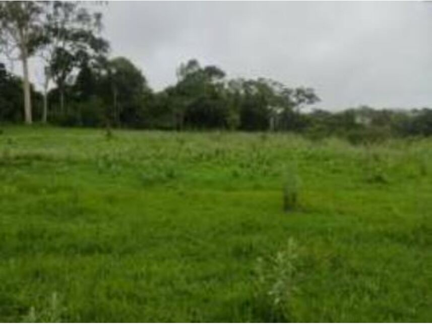 Imagem 6 do Leilão de Terreno - Chácaras Saia Velha - Cidade Ocidental/GO