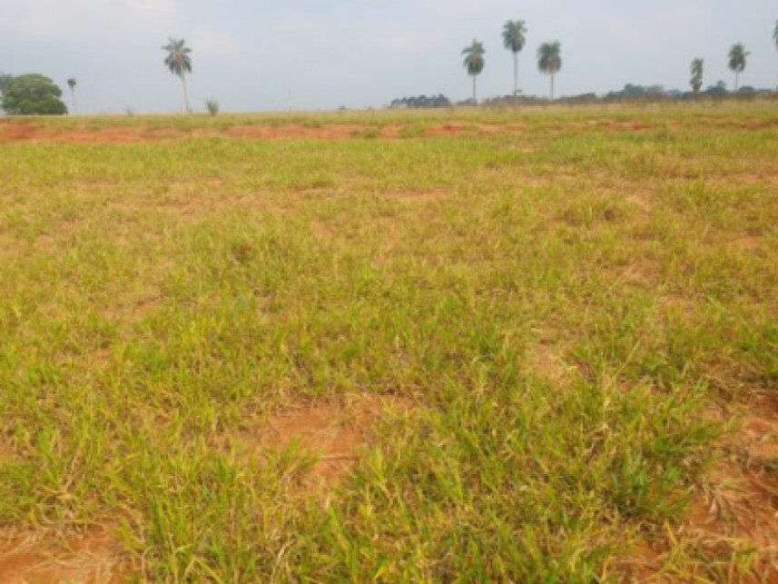 Imagem 3 do Leilão de Terreno - Jardim Botânico I - Marília/SP
