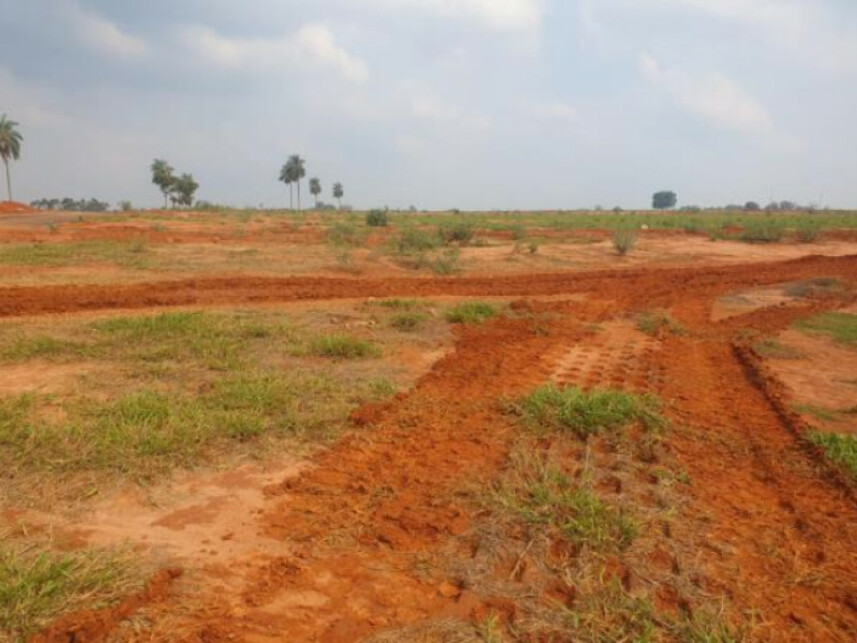 Imagem 4 do Leilão de Chácara - Jardim Botânico I - Marília/SP