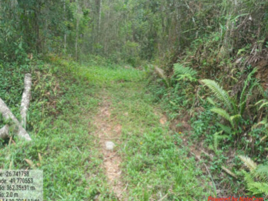 Imagem 2 do Leilão de Área Rural - Itaió - Itaiópolis/SC