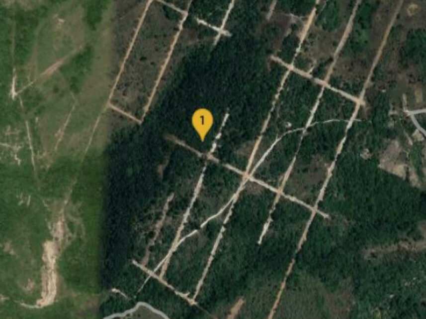 Imagem 1 do Leilão de Terreno - Parque das Margaridas - Salinas da Margarida/BA