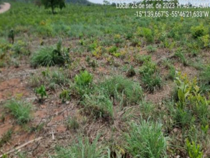 Imagem 6 do Leilão de Terreno - Água Fria - Chapada dos Guimarães/MT