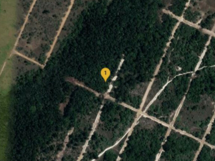 Imagem 1 do Leilão de Terreno - Parque das Margaridas - Salinas da Margarida/BA