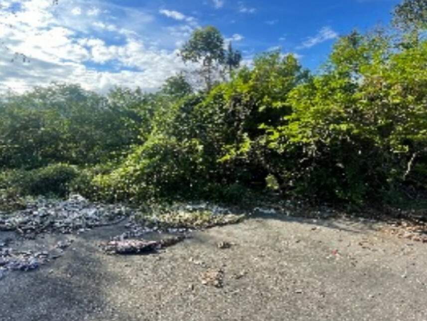 Imagem 3 do Leilão de Fazenda - Fazenda - Itajaí/SC