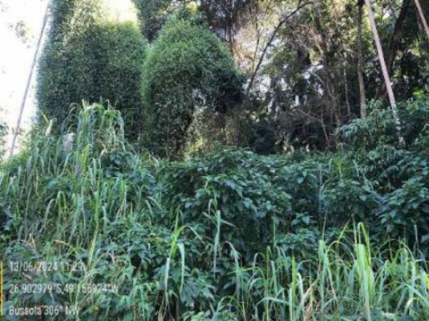 Imagem 6 do Leilão de Terreno - Passo Fundo - Blumenau/SC