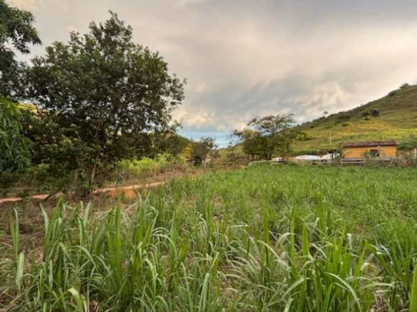 Imagem 4 do Leilão de Fazenda - Zona Rural - Tombos/MG