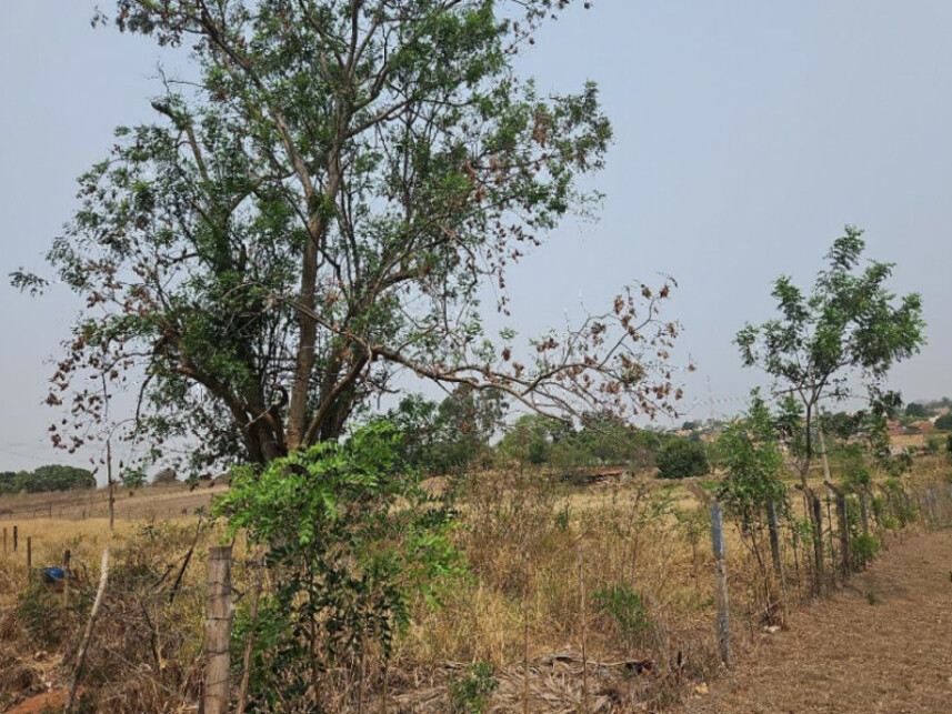 Imagem 7 do Leilão de Chácara - Conjunto Habitacional Doutor José Olavo Diniz - Guaraçaí/SP