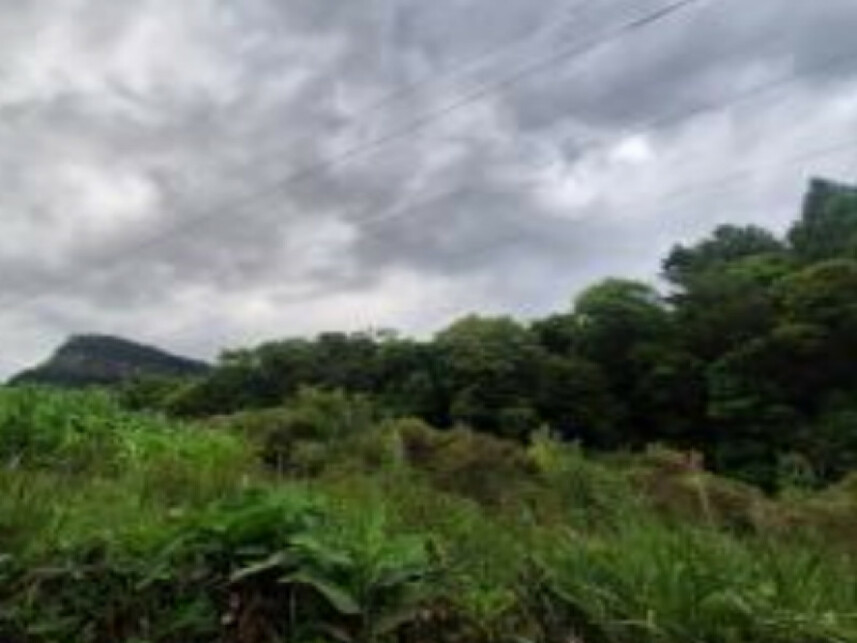 Imagem 4 do Leilão de Área Rural - Centro - Canela/RS