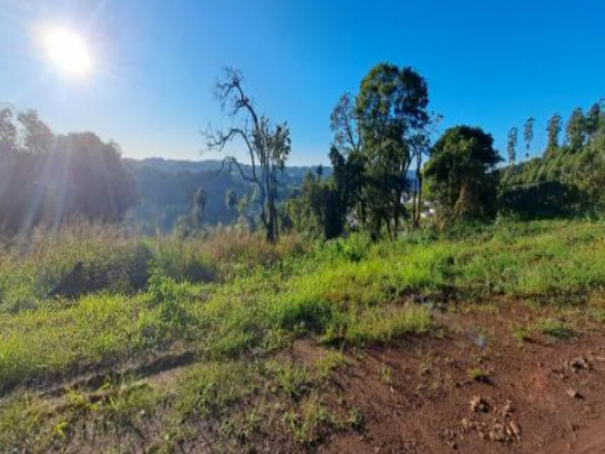 Imagem 3 do Leilão de Terreno - Interior - Cordilheira Alta/SC