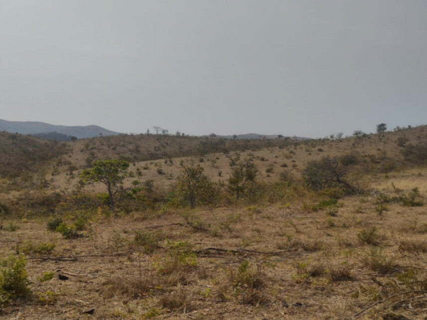 Imagem 6 do Leilão de Fazenda - Zona Rural - Lagamar/MG