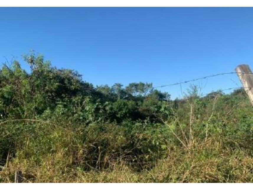 Imagem 17 do Leilão de Terreno - Jardim Novo Mundo - Goiânia/GO