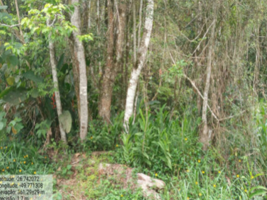 Imagem 3 do Leilão de Área Rural - Itaió - Itaiópolis/SC