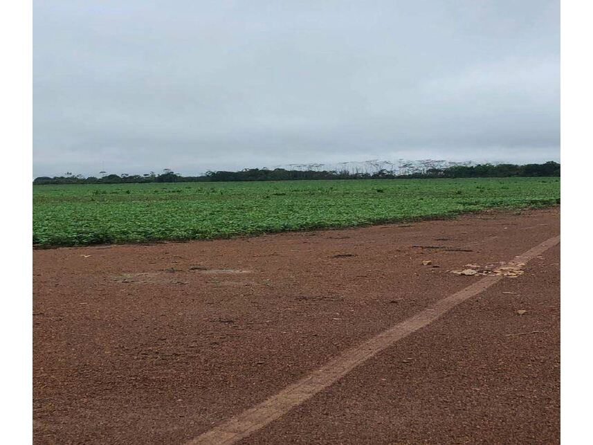 Imagem 4 do Leilão de Áreas Rurais - Zona Rural - Novo Mundo/MT