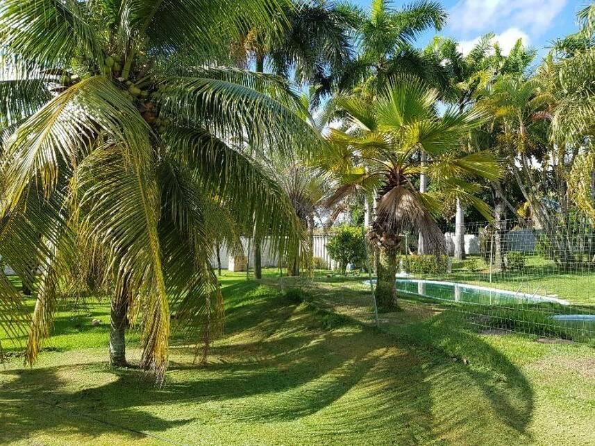 Imagem 23 do Leilão de Casa - Espaço Sul - Nísia Floresta/RN