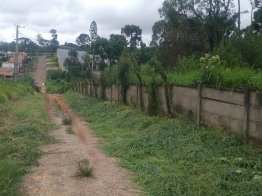 Imagem 5 do Leilão de Terreno - Colônia Dona Luíza - Ponta Grossa/PR