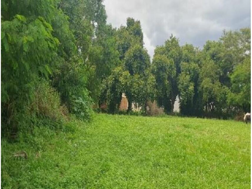 Imagem 6 do Leilão de Terreno - Jardim Palmares I - Saltinho/SP