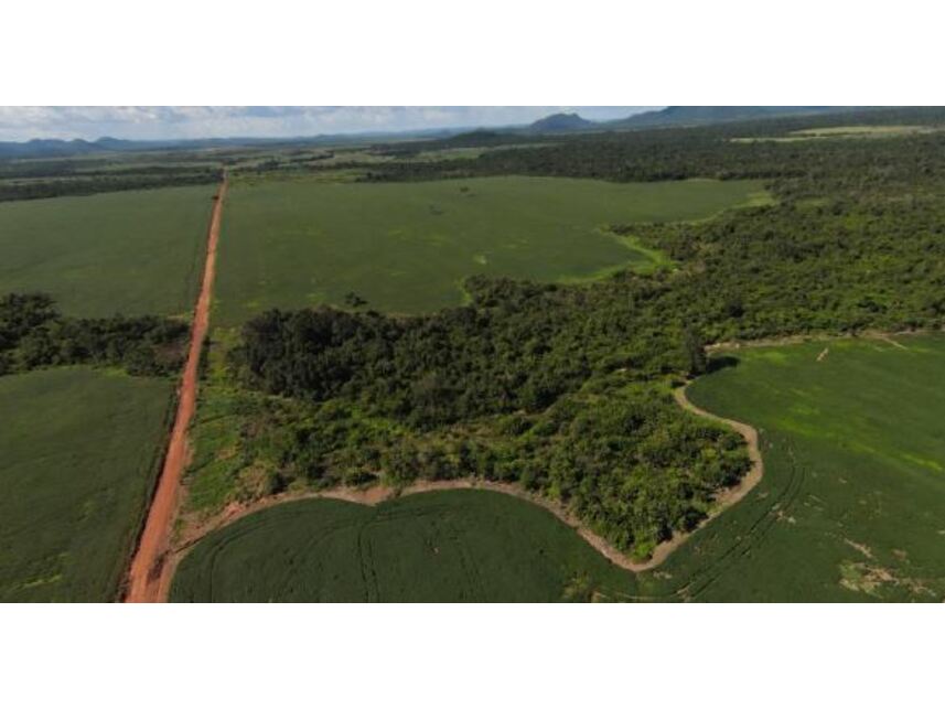 Imagem 8 do Leilão de Área Rural - Projeto Santaninha - Vila Rica/MT