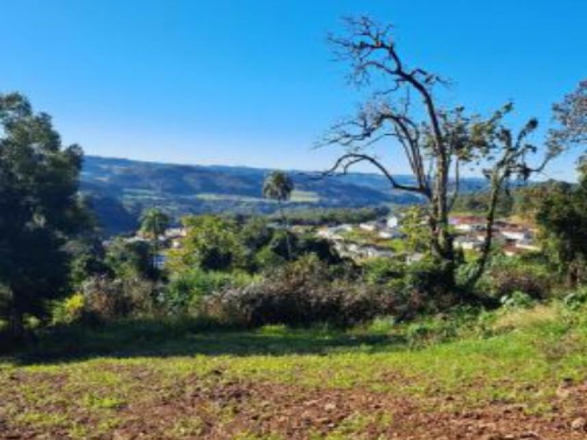 Imagem 5 do Leilão de Terreno - Interior - Cordilheira Alta/SC
