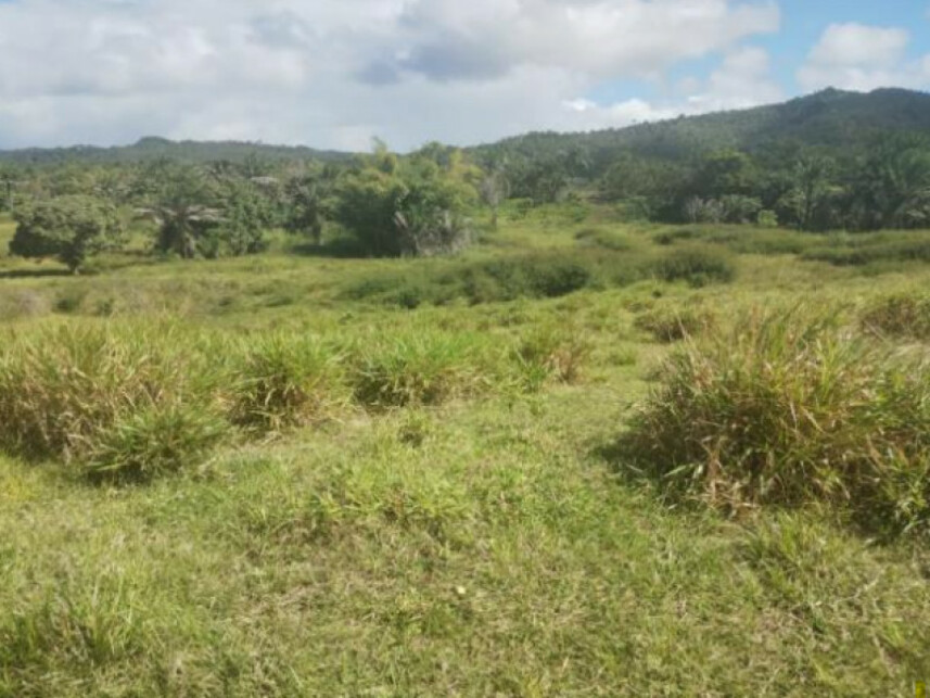 Imagem 3 do Leilão de Terreno - Parque das Margaridas - Salinas da Margarida/BA