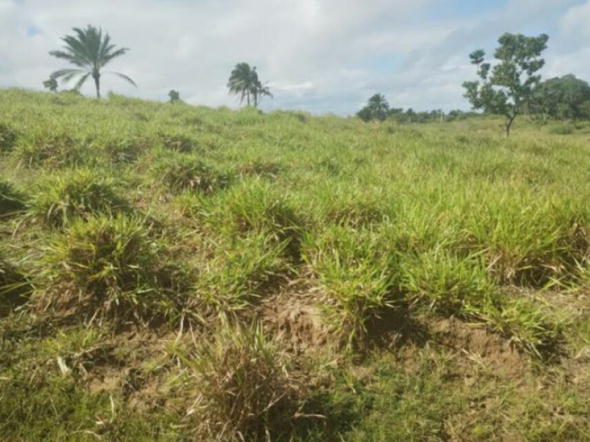 Imagem 6 do Leilão de Terreno - Parque das Margaridas - Salinas da Margarida/BA
