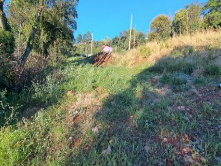 Imagem 2 do Leilão de Terreno - Interior - Cordilheira Alta/SC