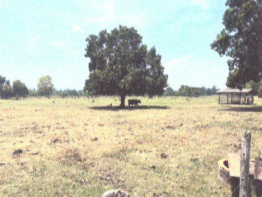 Imagem 6 do Leilão de Terreno - Estrela Velho - Porto Estrela/MT