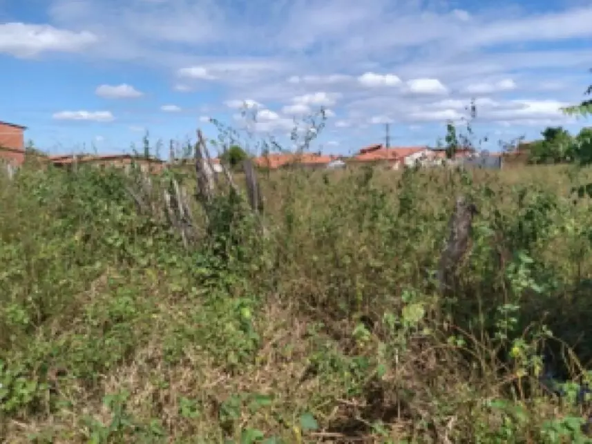 Leilão de Casa Imóvel em Morada Nova/CE - Lance Inicial R$ 61.000 - Extrajudicial