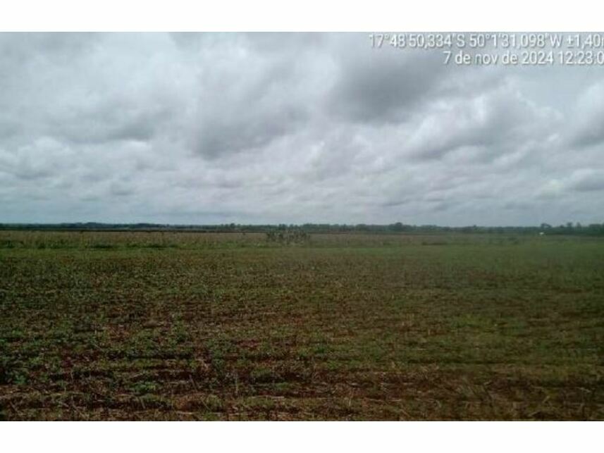 Imagem 13 do Leilão de Área Rural - Zona Rural - Goiatuba/GO