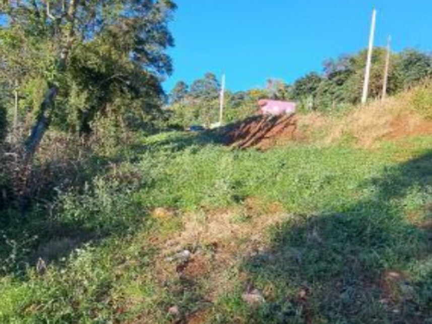 Imagem 4 do Leilão de Terreno - Interior - Cordilheira Alta/SC