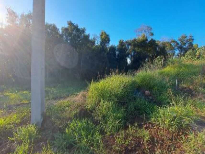 Imagem 4 do Leilão de Terreno - Interior - Cordilheira Alta/SC