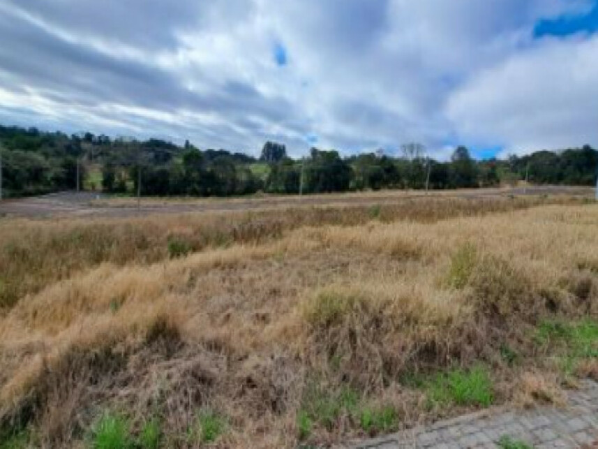 Imagem 3 do Leilão de Terreno - Industrial - Chapecó/SC