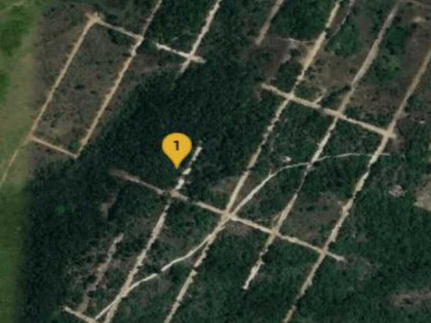 Imagem 1 do Leilão de Terreno - Parque das Margaridas - Salinas da Margarida/BA