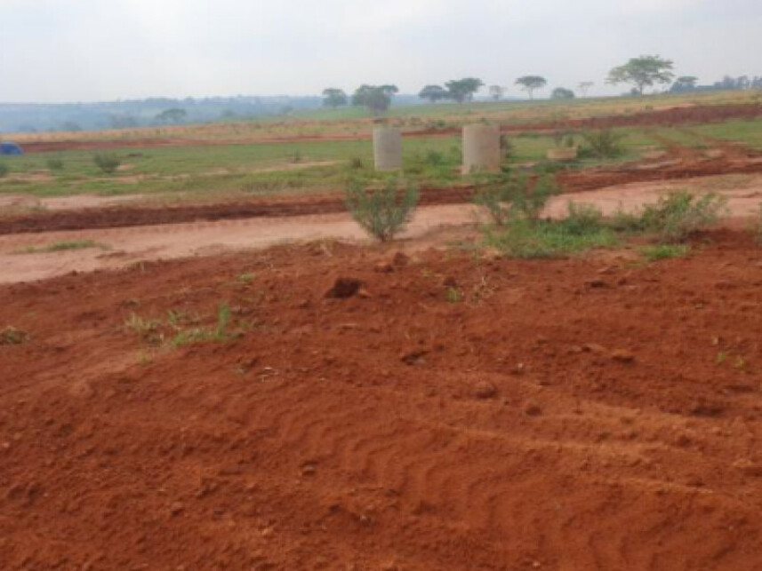 Imagem 3 do Leilão de Terreno - Jardim Botânico I - Marília/SP